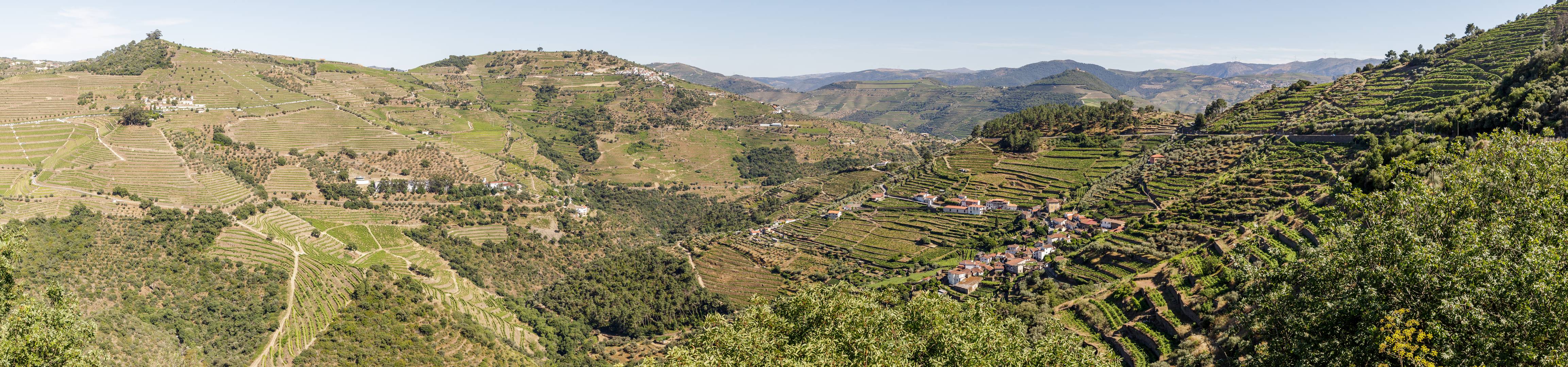 2026 06   Panorama   Pinhão I